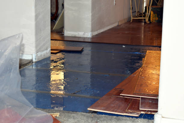 Professional Water Damage Restoration technician working in Osgood, IN
